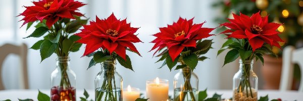 Butelki, Dekoracja, Świece, Gwiazda betlejemska