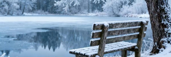 Drzewa, Las, Grafika AI, Śnieg, Oszronione, Ławka, Staw, Zima