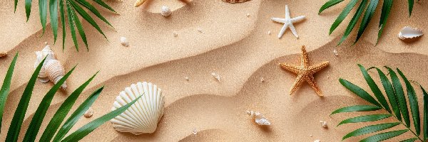 Piasek, Rozgwiazdy, Muszelki, Liście, Zielone