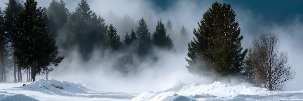 Zima, Drzewa, Droga, Grafika AI, Zamieć