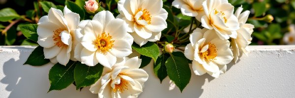 Kamelia, Kwiaty, Białe, Grafika AI, Ściana