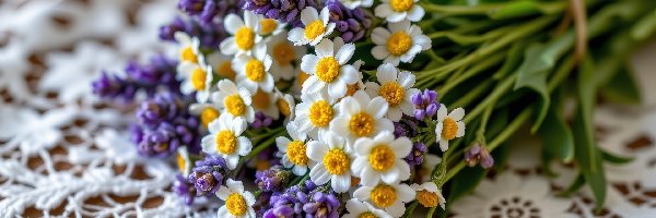 Lawenda, Kwiaty, Białe, Bukiet