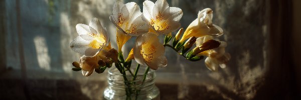 Frezje, Słoik, Wazon, Grafika AI, Okno