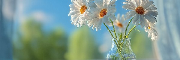 Wazon, Grafika AI, Okno, Margerytki