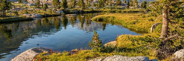 Kamienie, Jezioro, Drzewa, Niebo, Skały, Góry