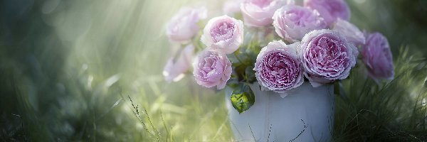 Grafika AI, Kwiaty, Biała, Różowe, Róże, Trawa, Donica