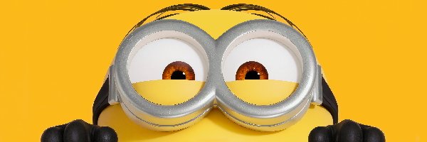 Minionki, Oczy, Okulary, Tło, Żółte