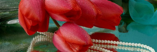 Perły, Tulipany, Czerwone