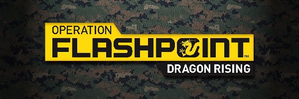 Operation Flashpoint 2, Logo