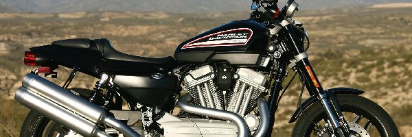 Harley Davidson XR1200, Układ, Wydechowy