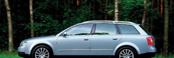 Avant, Drzewa, Lewy Profil, Audi A4
