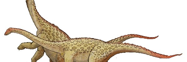 Brachiozaury, Dwa