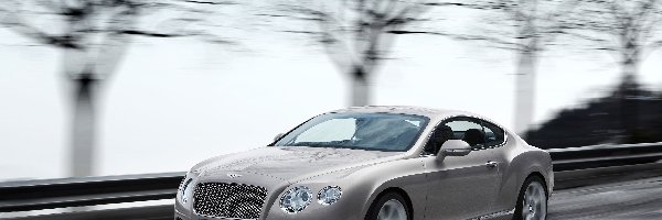 Samochód, Sportowy, Bentley Continental GT