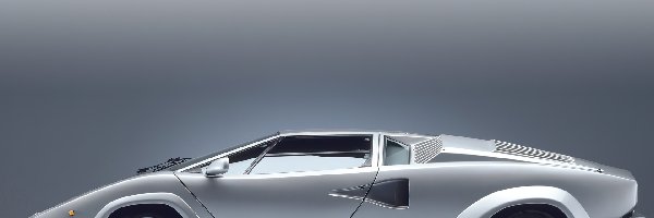 Lamborghini Countach, Profil, Lewy