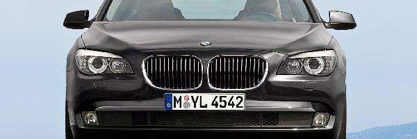 BMW seria 7 F01, Grill, Atrapa, Przód
