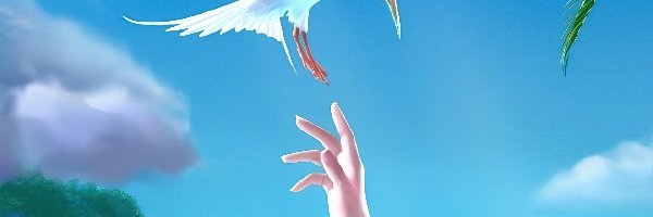 Ręka, Wyciągnięta, Ptak