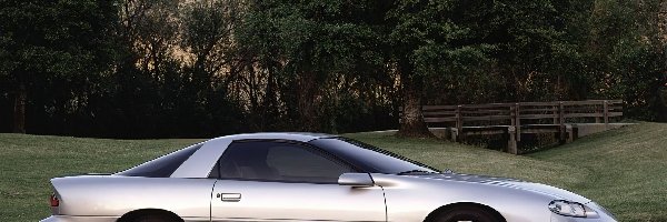Chevrolet Camaro, Srebrny