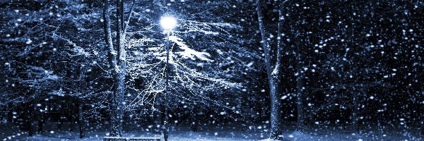 Śnieg, Drzewa, Zima, Ławka