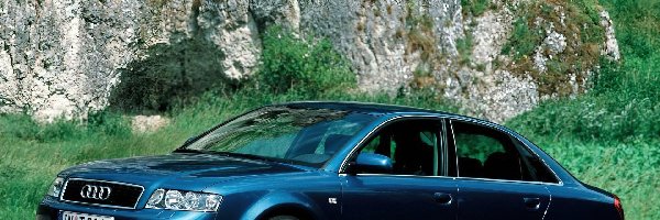 Audi A4, Niebieskie