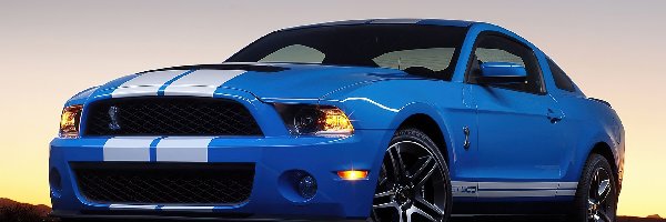 Shelby, Pakiet, Ford Mustang GT 500
