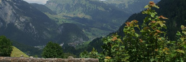 Austria, Rośliny, Zagroda, Au Vorarlberg