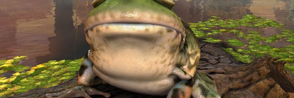Nvidia, żaba