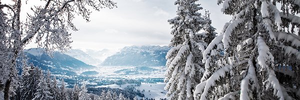 Drzewa, Góry, Zima