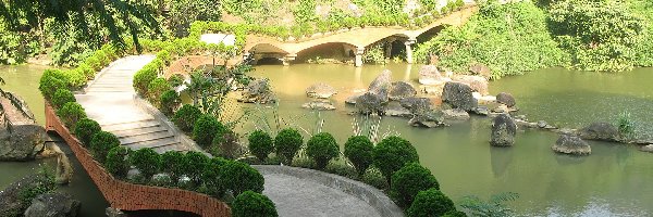 Park, Drzewa, Mostek, Wietnam, Woda