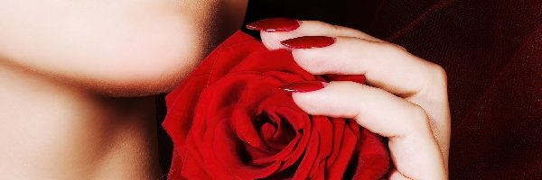 Czerwona, Dłoń, Róża, Kobieta