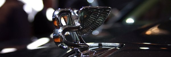 Bentley Mulsanne, Emblemat