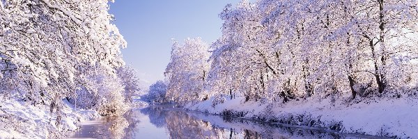 Zima, Drzewa, Rzeka