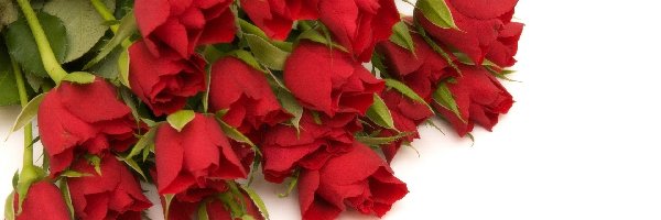 Bukiet, Czerwone, Róże