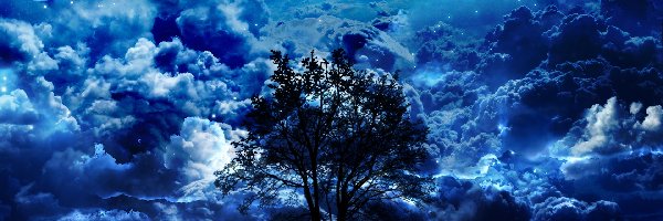 Drzewo, Noc, Ludzie, Chmury