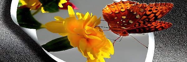 4D, Kwiatek, Motyl