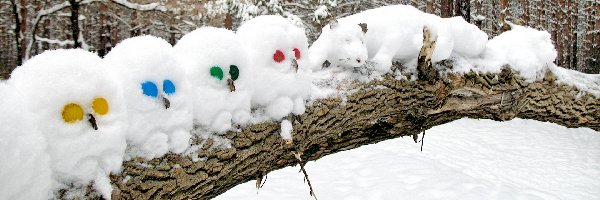 Sowy, Figury, Śniegowe, Kot, Drzewo, Powalone